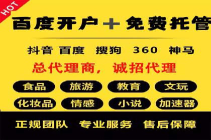 竞价排名的投放策略与效果评估案例